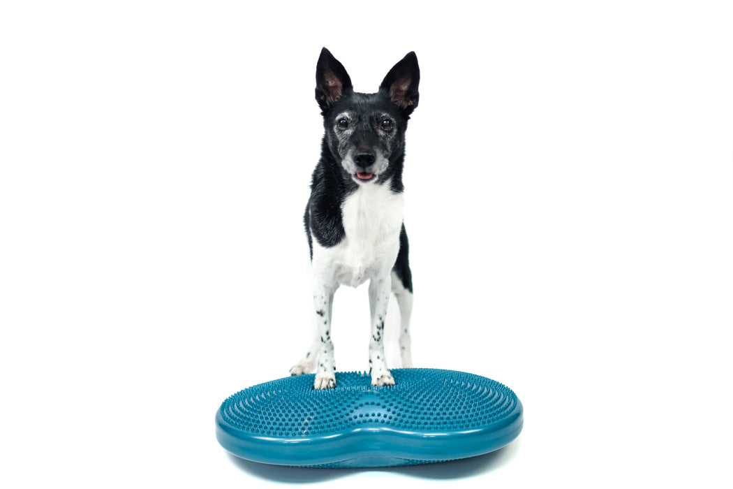 FitPaws Duo Disc (24" x 13" x 3")