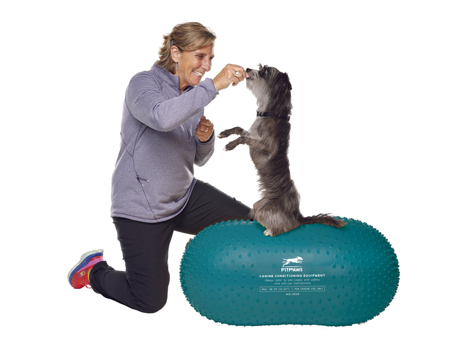 FitPAWS® TRAX Peanut 60 cm, Blue