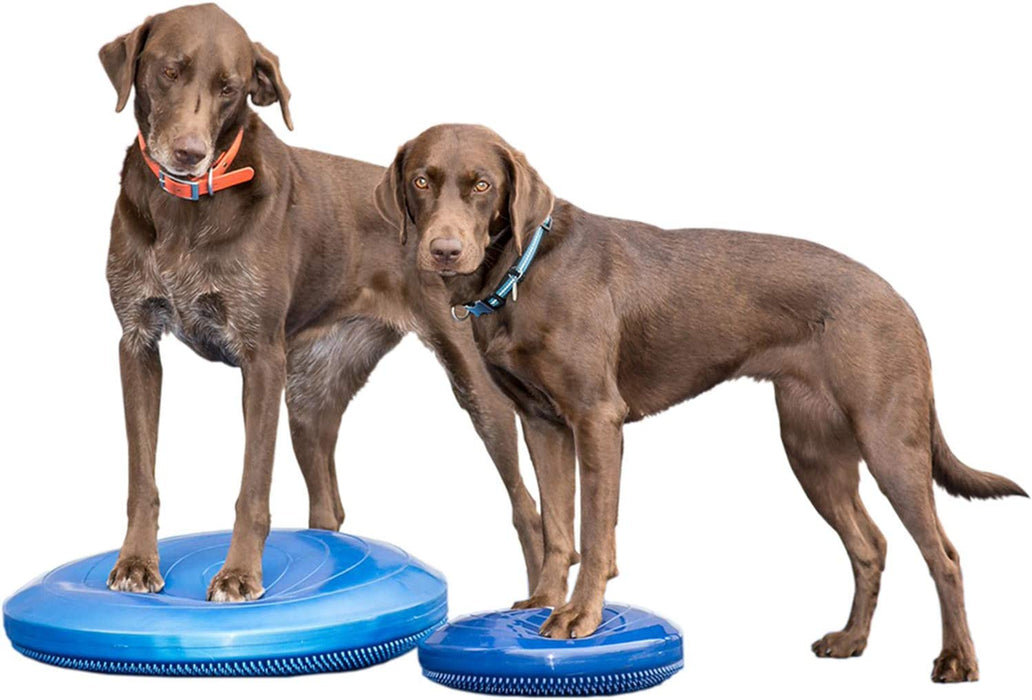 FitPAWS® Balance Disc 22", Blue