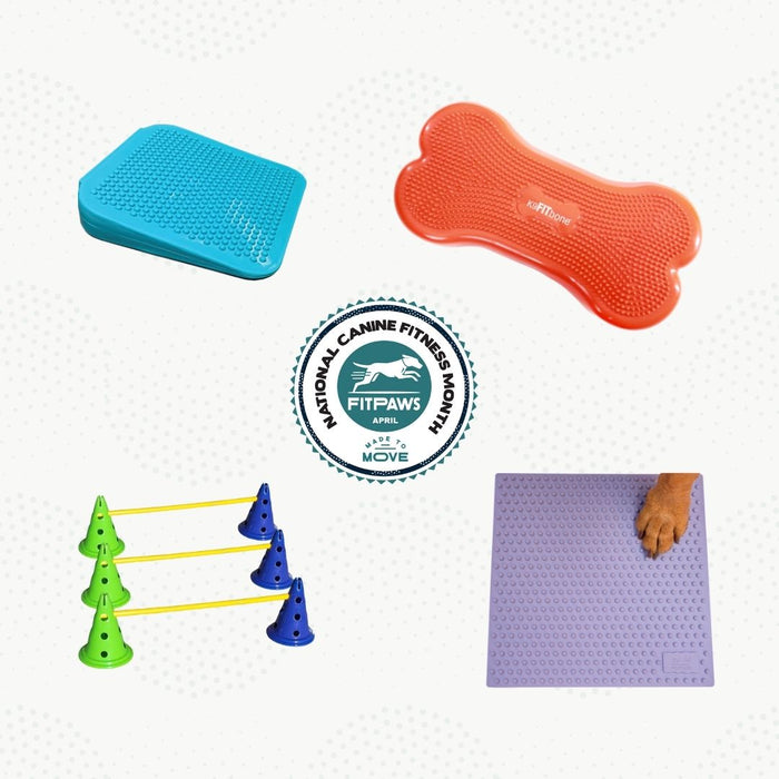 2025 National Canine Fitness Month Bundle