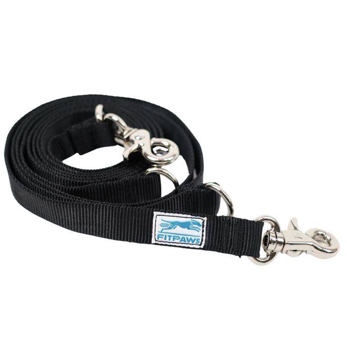 Made to Move Leash