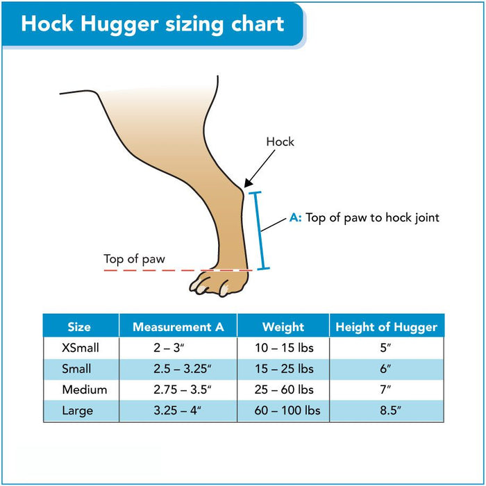 Walkin’ Hock Hugger