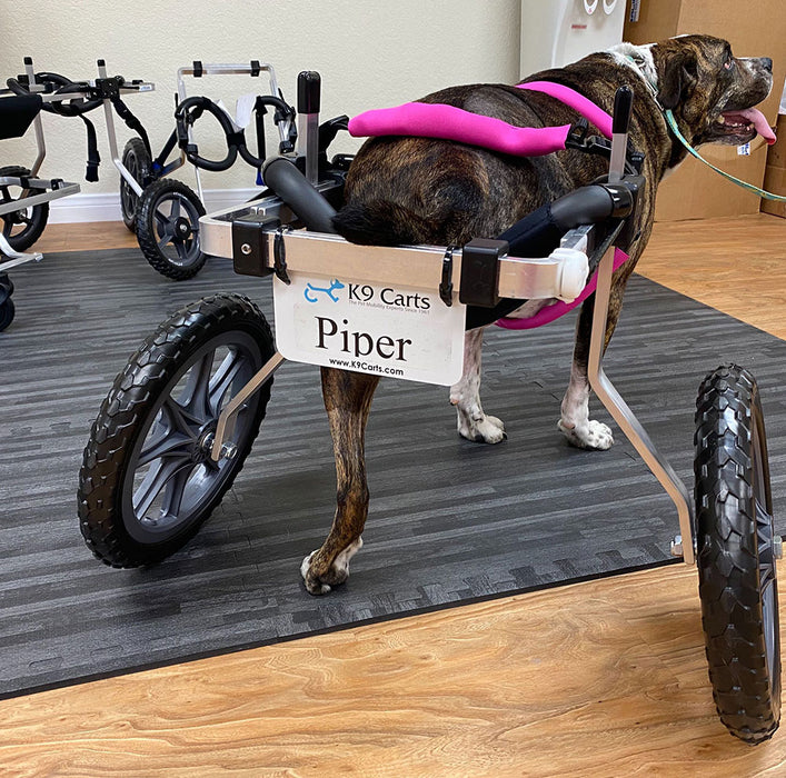 Wheelchair Licence Plate