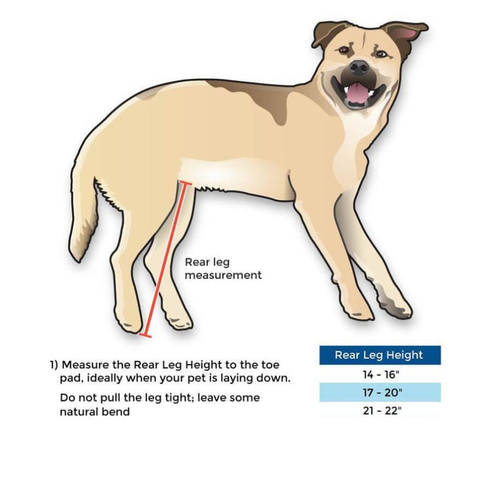 Walkin' Wheels Full Support/4-Wheel MED/LARGE