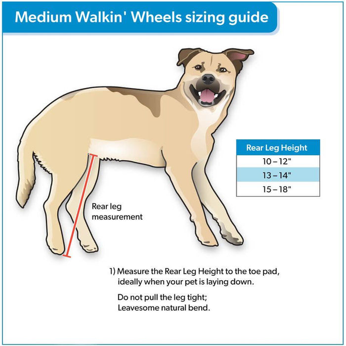 Walkin' Wheels Full Support/4-Wheel MEDIUM