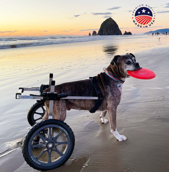 Dog Wheelchair for Back Legs - Rear Support - X-Small