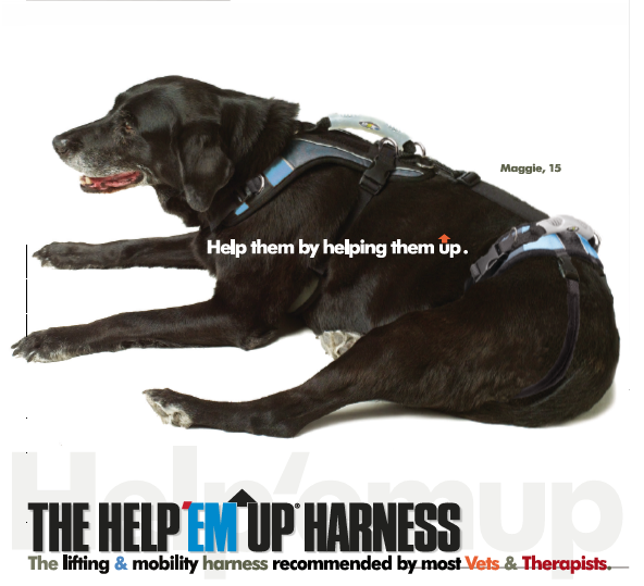 Help 'Em Up Brochures (25)