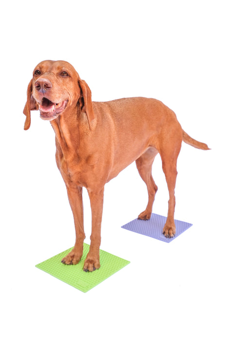 FitPaws TRAX Targets (Set of 2), Tennis Ball