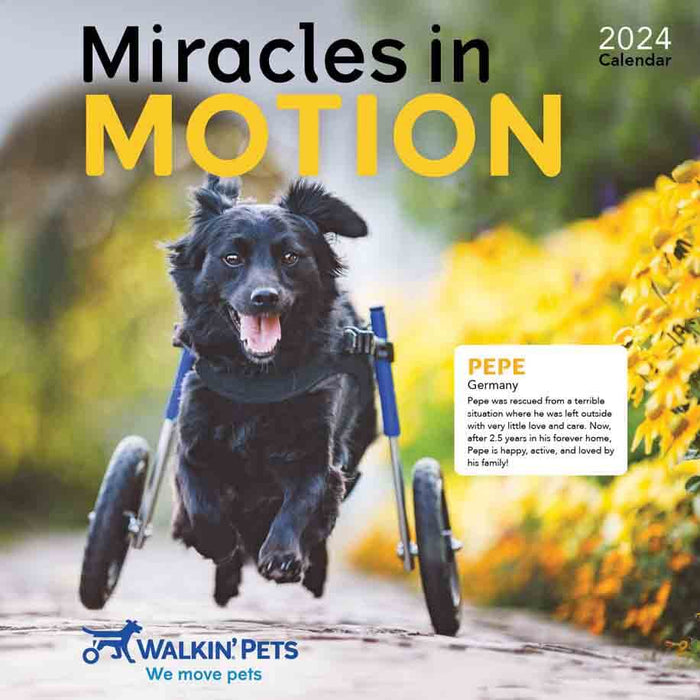 2024 Walkin' Pets Calendar