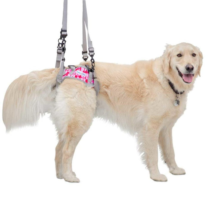 Walkin’ Warrior Rear Harness