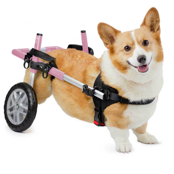 Walkin' Wheels CORGI Dog Wheelchair
