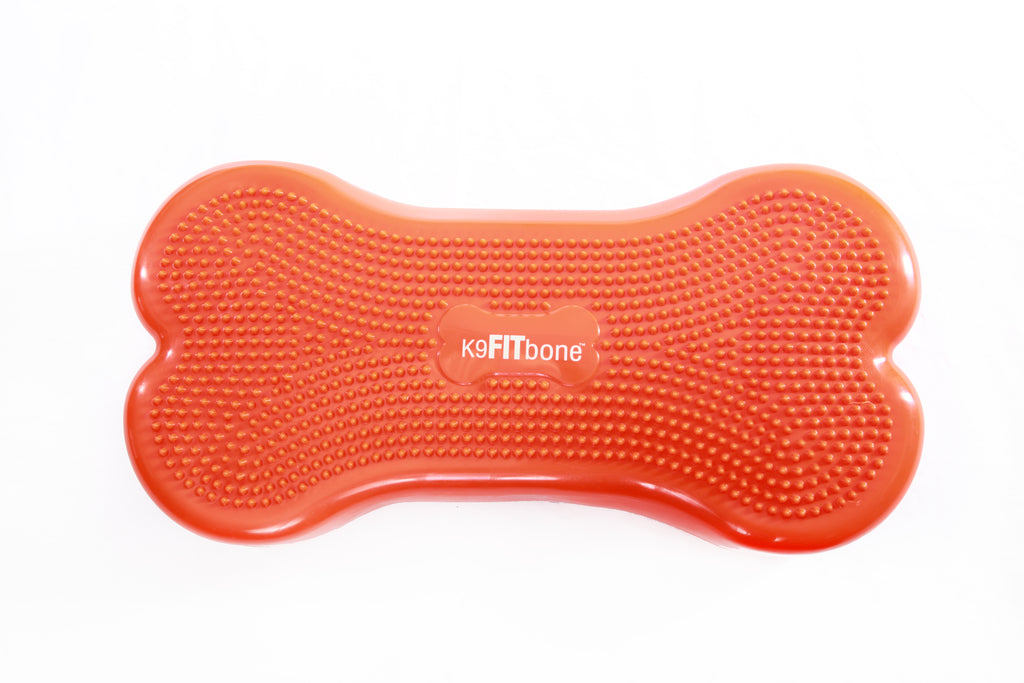 K9FITbone™ Orange