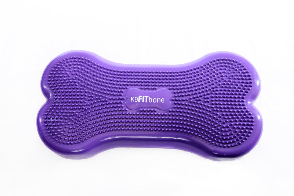 K9FITbone™ Purple