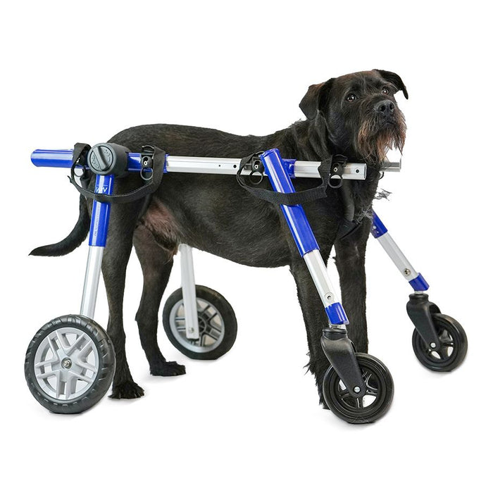 Walkin' Wheels Full Support/4-Wheel MEDIUM