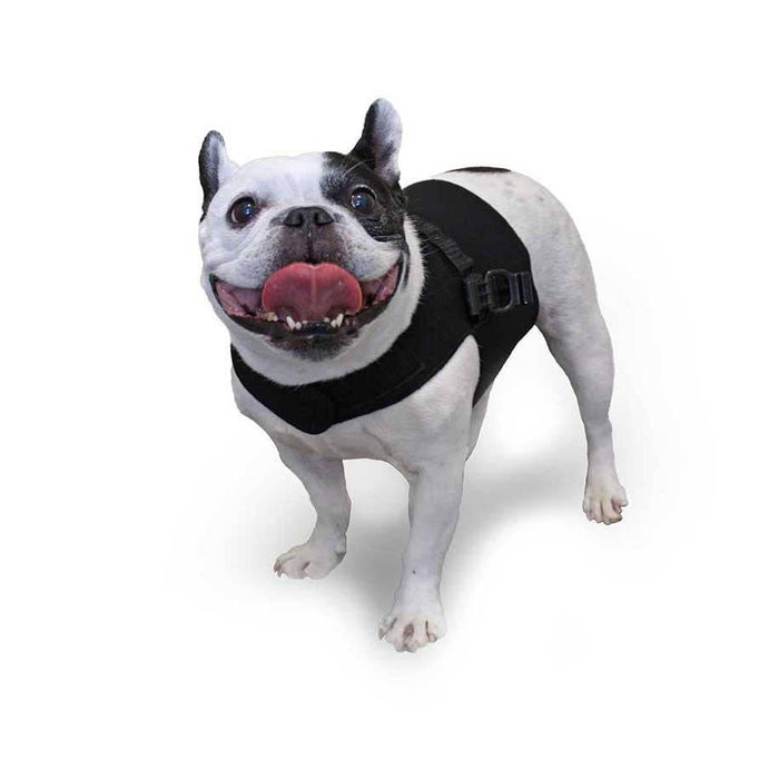 Small Premium Front Vest for SMALL Dog Wheelchair