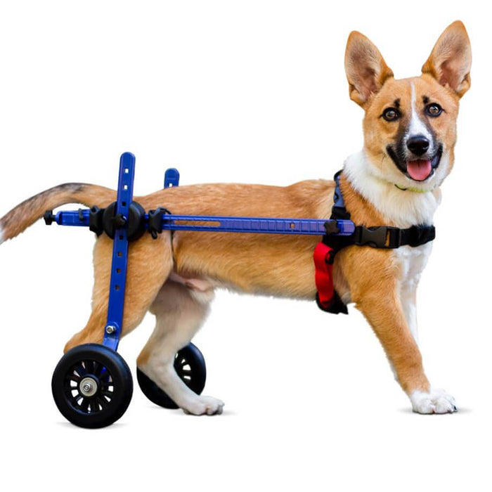 Walkin’ Wheels MINI Dog Wheelchair