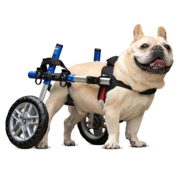 Walkin' Wheels SMALL Dog Wheelchair