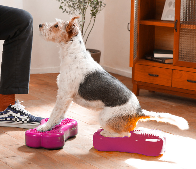 K9FITbone™ MINI Razzleberry, Set of 2
