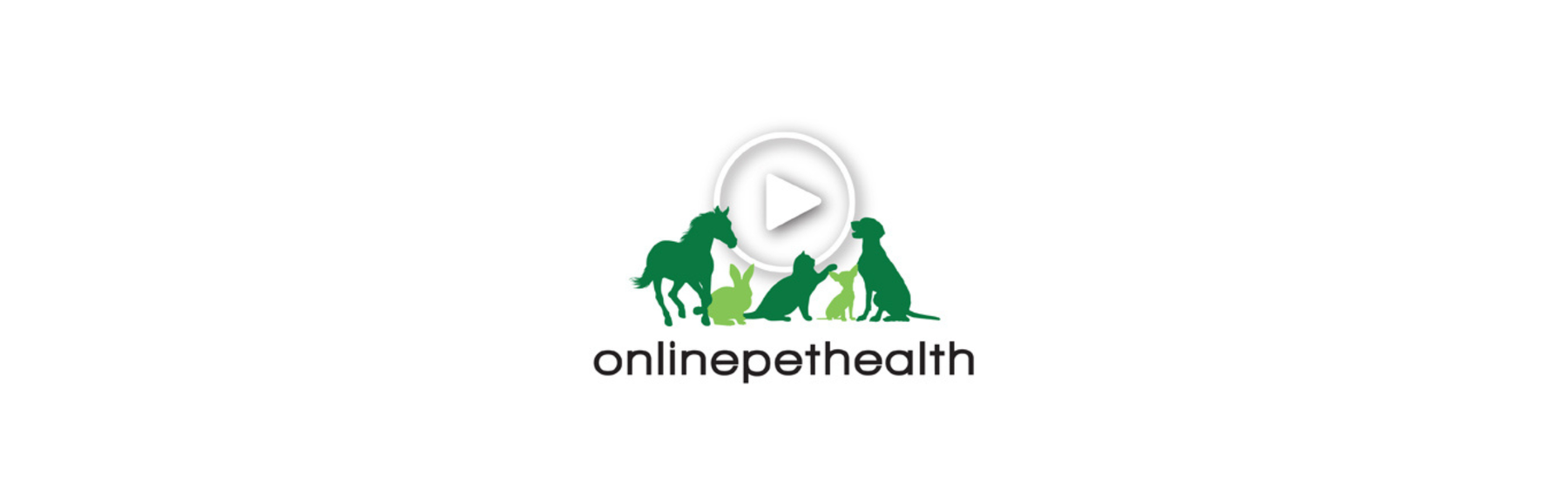 Paw Prosper Acquires Onlinepethealth to Expand Continuing Education and Community for Veterinary Rehabilitation Professionals