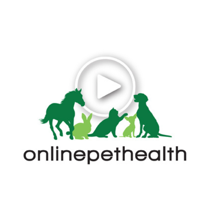 Paw Prosper Acquires Onlinepethealth to Expand Continuing Education and Community for Veterinary Rehabilitation Professionals
