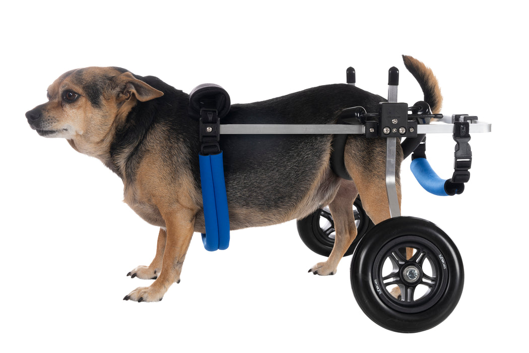 Dog Wheelchair for Back Legs - Rear Support - Large