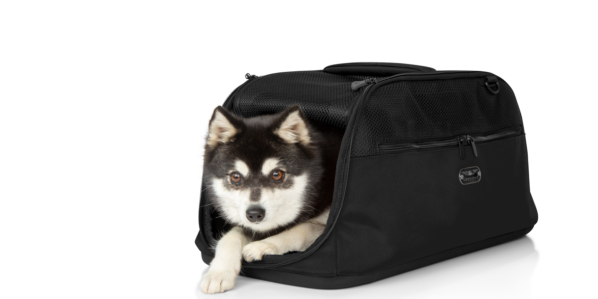 Sleepypod Air - Airline Approved Pet Carrier for Dogs and Cats