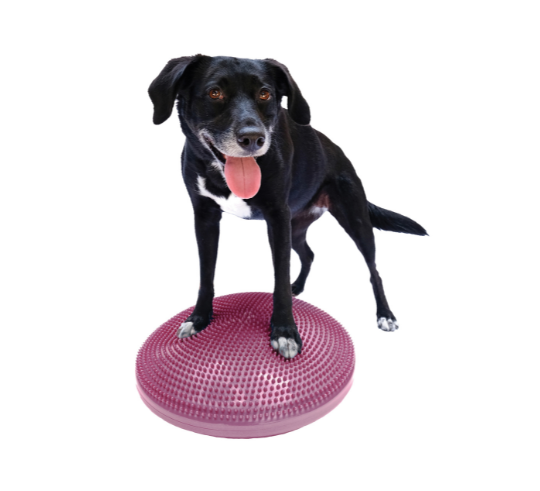 FitPaws Balance Disc