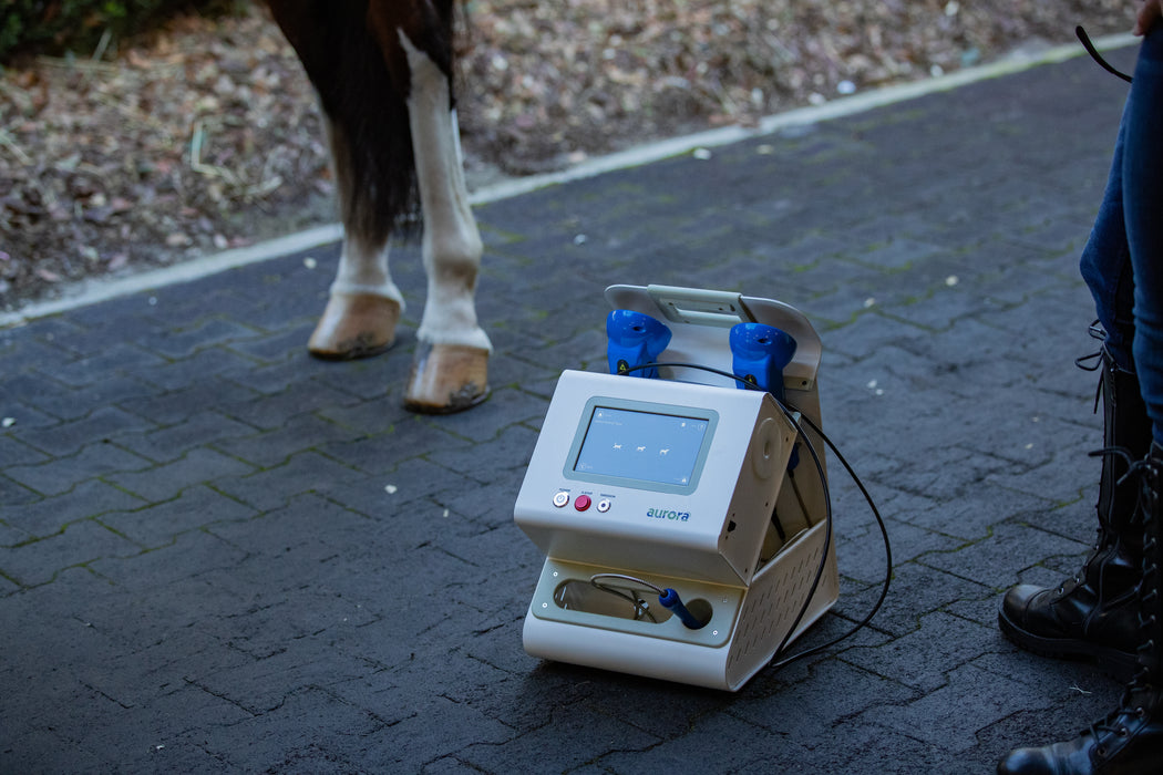 Aurora Class IV Laser Therapy System