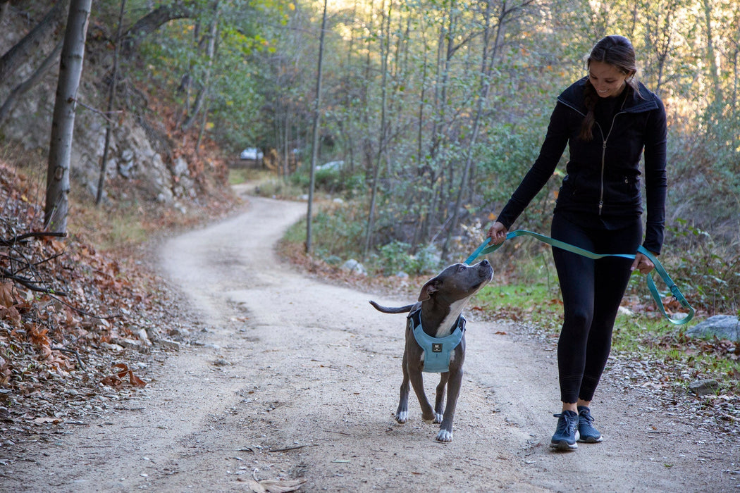 Clickit Terrain Plus