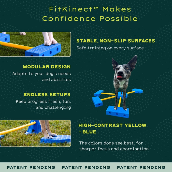 FitKinect™