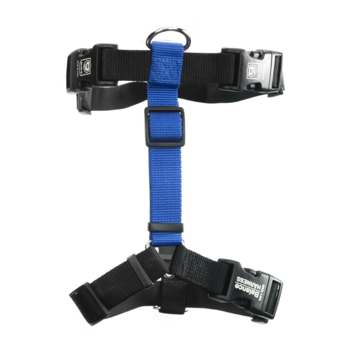 Balance Harness