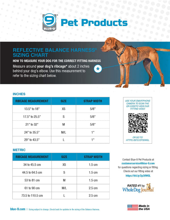 Reflective Balance Harness