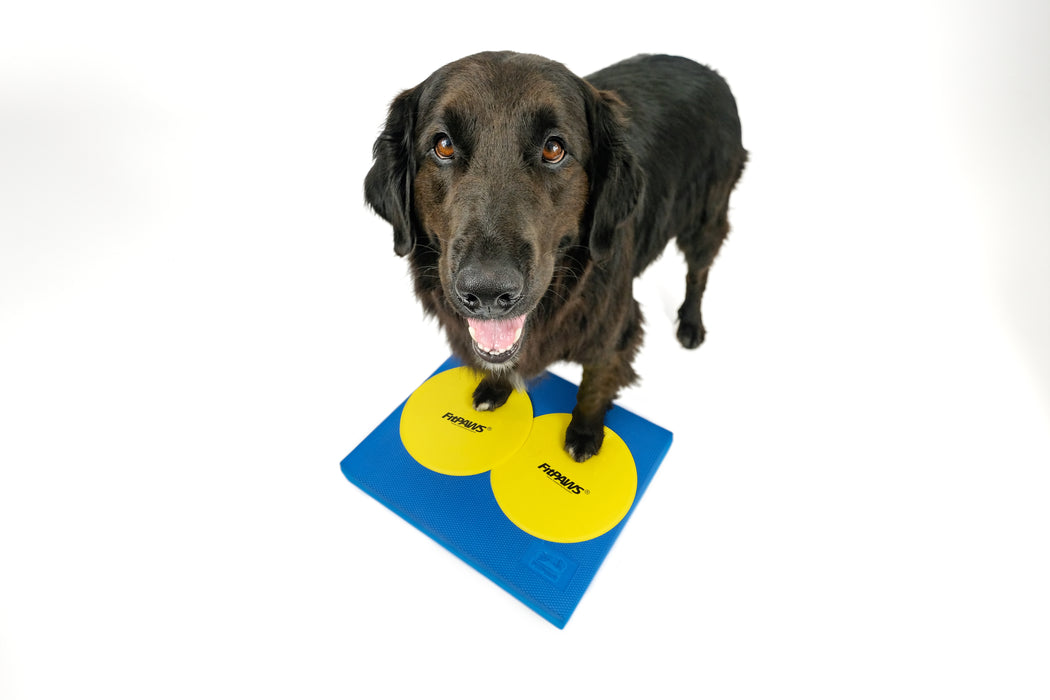 FitPAWS® Balance Pad 15" x 18.25" x 2"