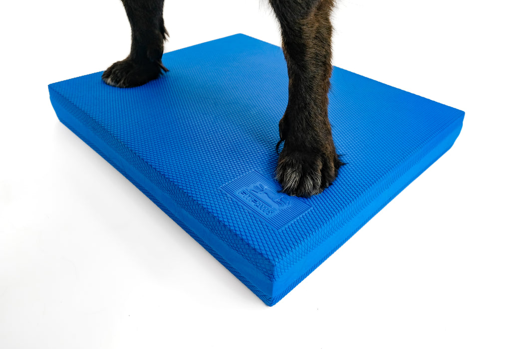 FitPAWS® Balance Pad 15" x 18.25" x 2"