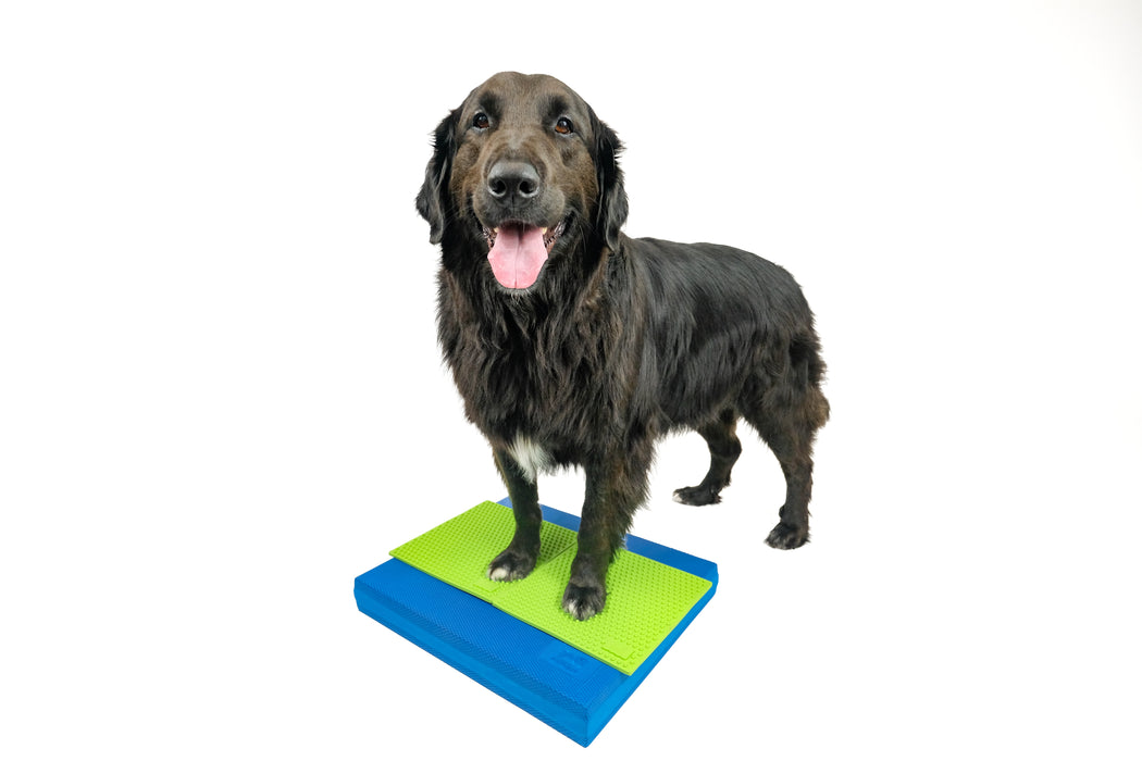 FitPAWS® Balance Pad 15" x 18.25" x 2"
