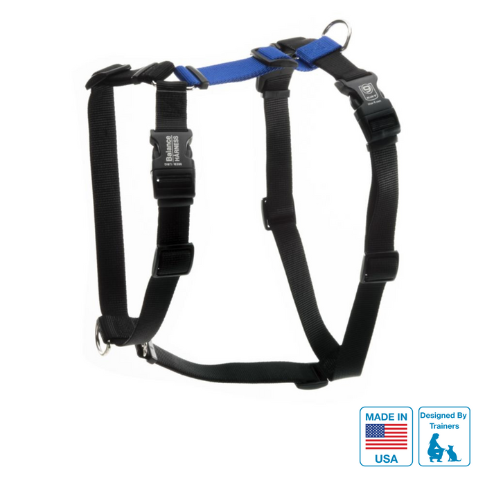 Balance Harness