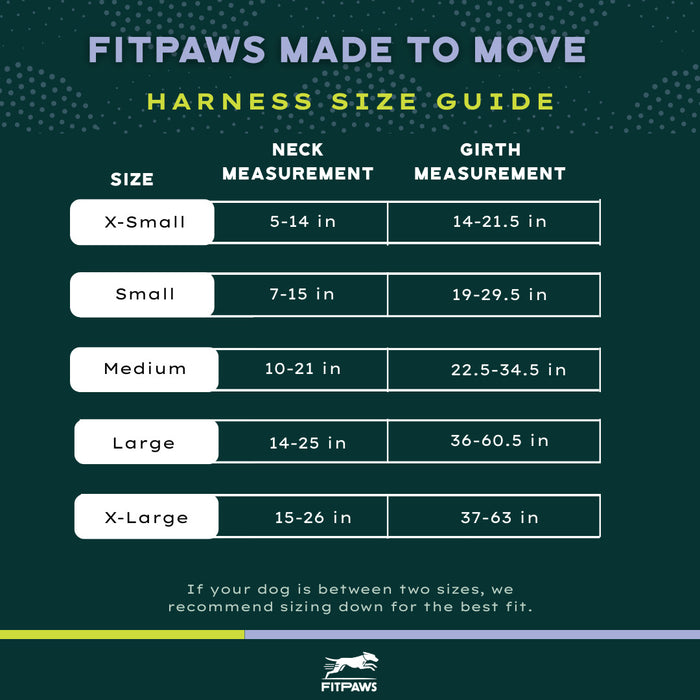 FITPAWS MADE TO MOVE HARNESS AND LEASH BUNDLE