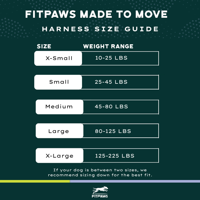 Made To Move Harness