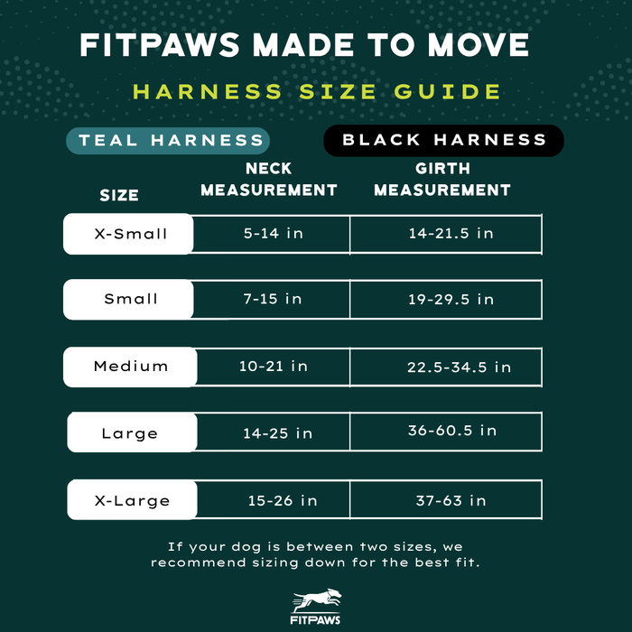 Made To Move Harness