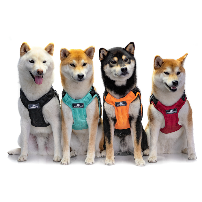 Clickit Terrain Plus