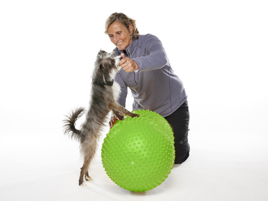 FitPaws Trax Peanut (Various Sizes)