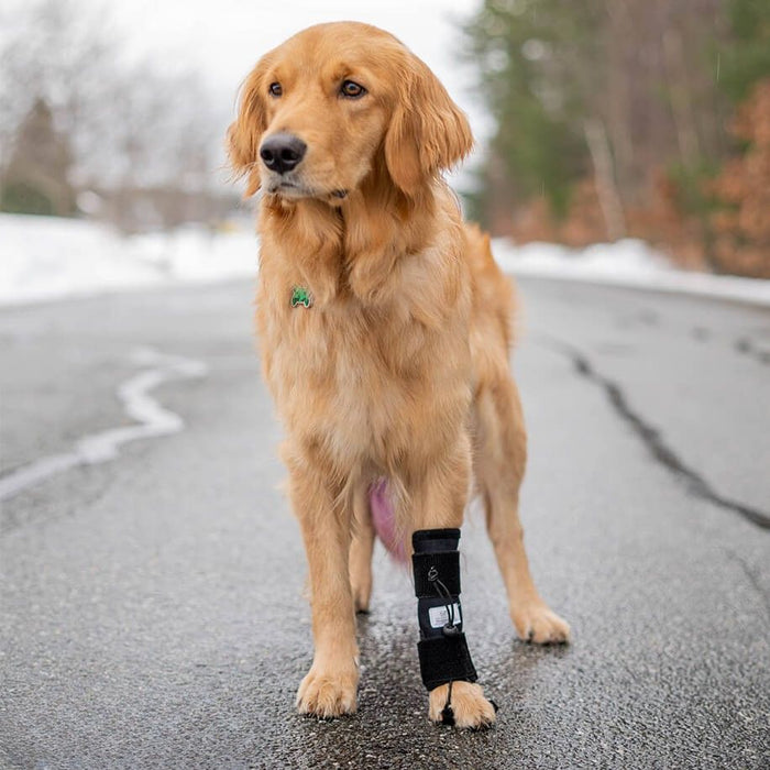 Front No-Knuckling Training Sock
