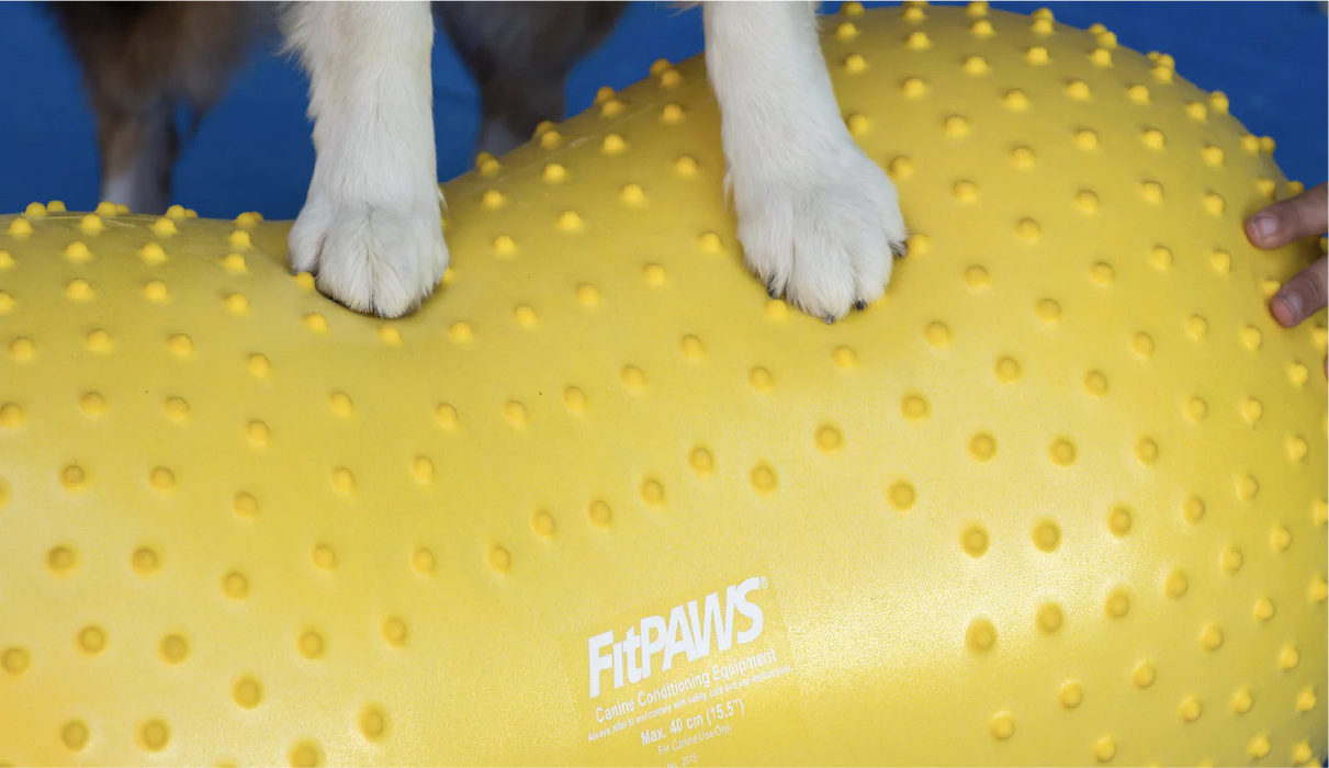 FitPaws Trax Peanut (Various Sizes)