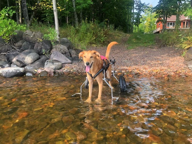 Wheelchair Front Support Kit