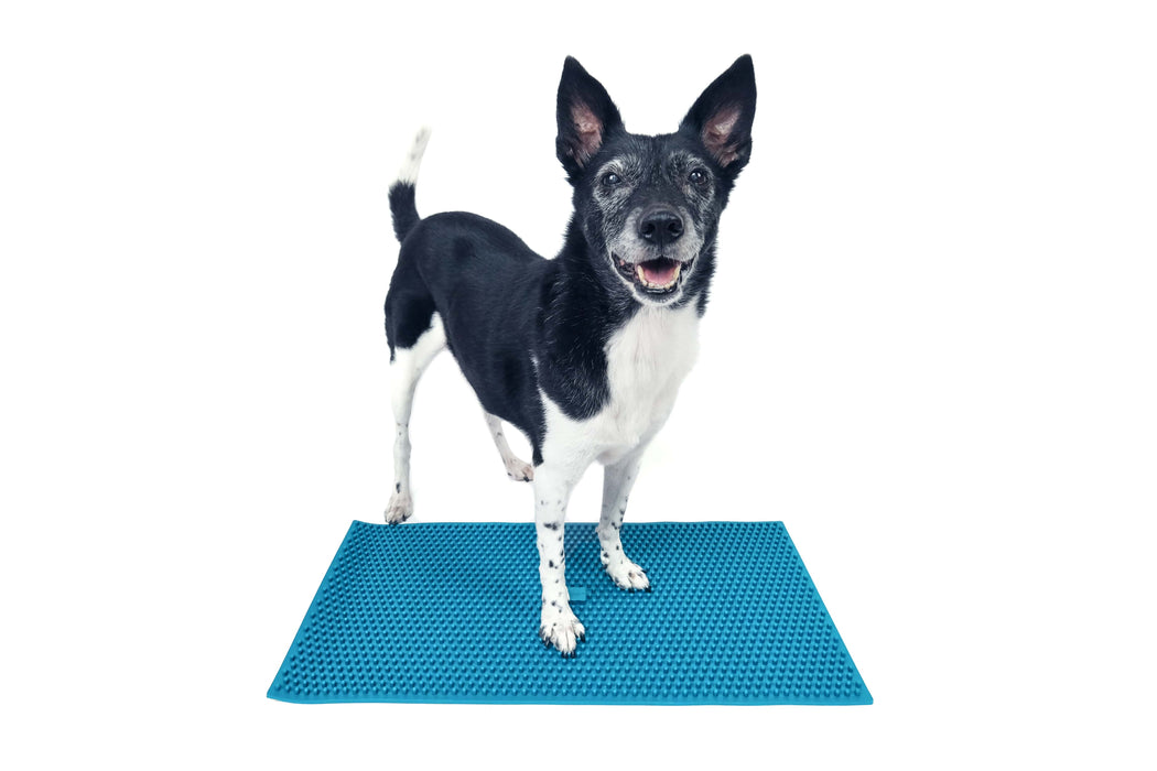 FitPaws K9 FitMat (24" x 12")