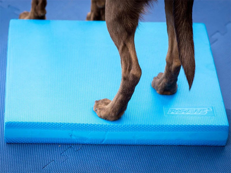 FitPAWS® Balance Pad 15" x 18.25" x 2"