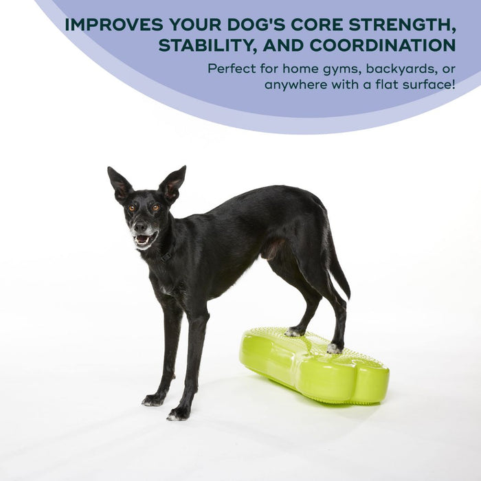 Regular K9FITbone Dog Balance Training Platform