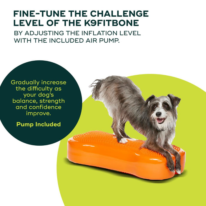 Regular K9FITbone Dog Balance Training Platform