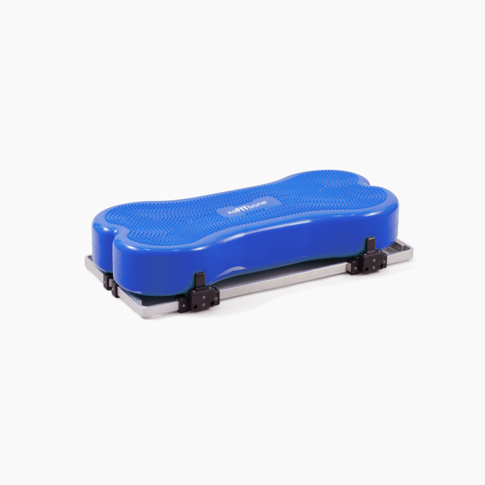 FitPaws Product Stabilizer & Giant K9FitBone Bundle