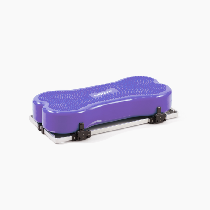 FitPaws Product Stabilizer & Giant K9FitBone Bundle
